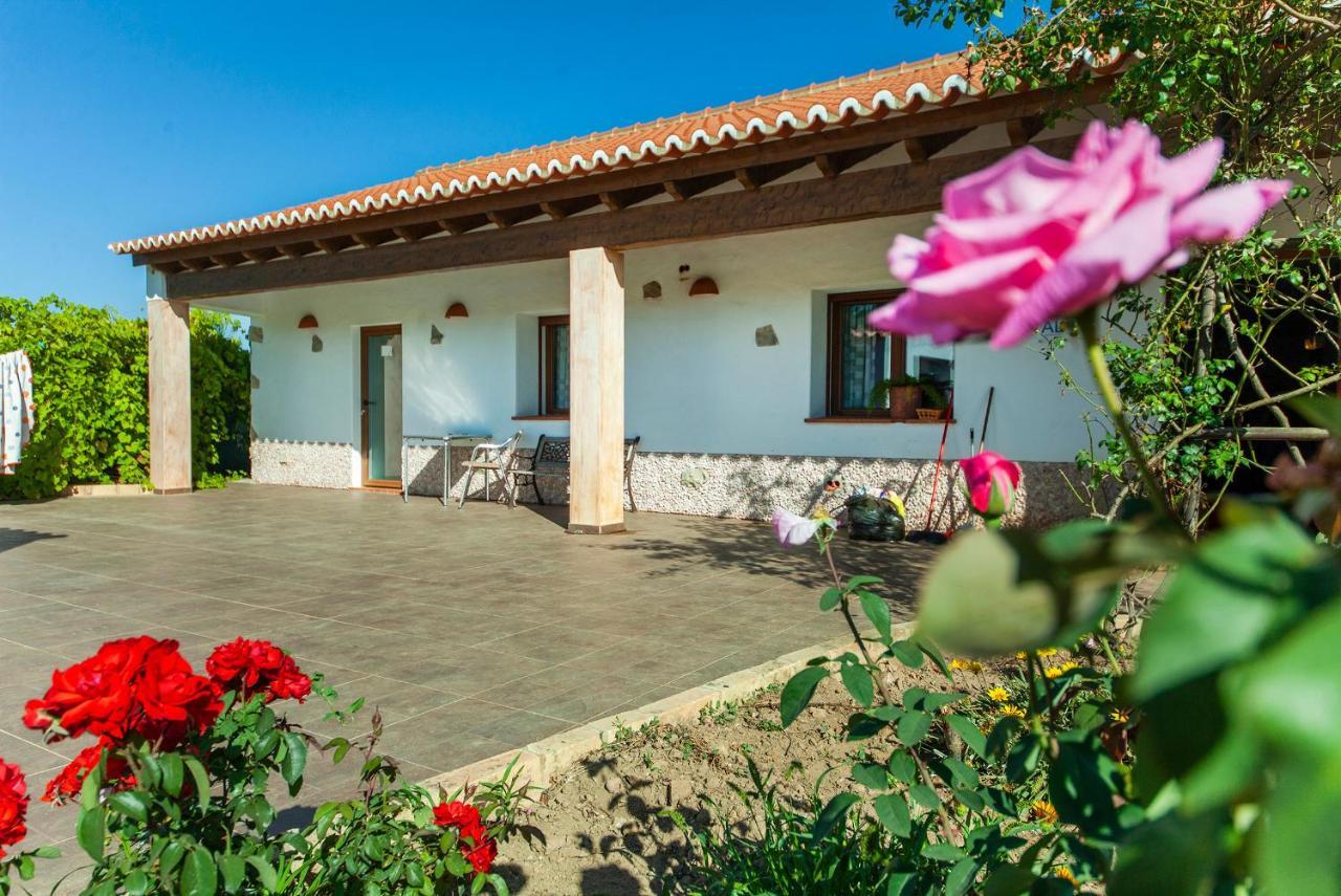 H - Montes De Praias Guesthouse Алжезур Екстериор снимка
